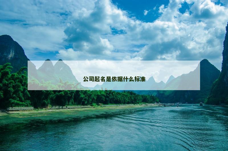 公司起名是依据什么标准