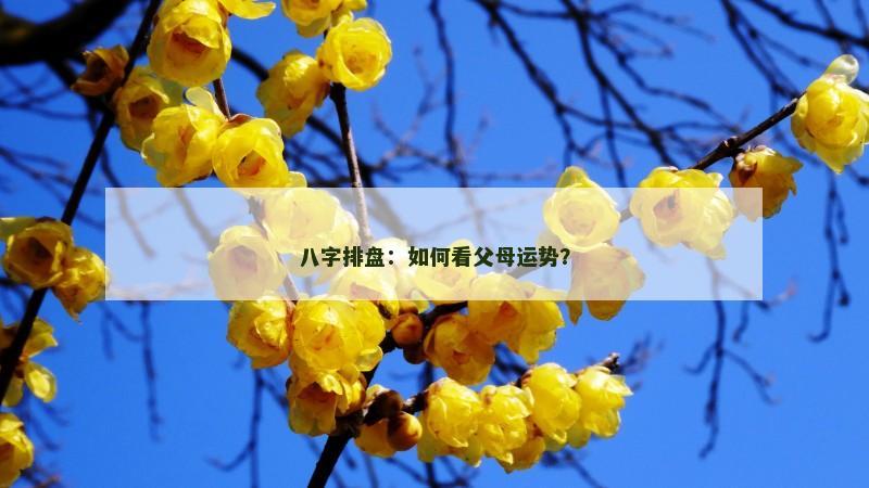 八字排盘：如何看父母运势？