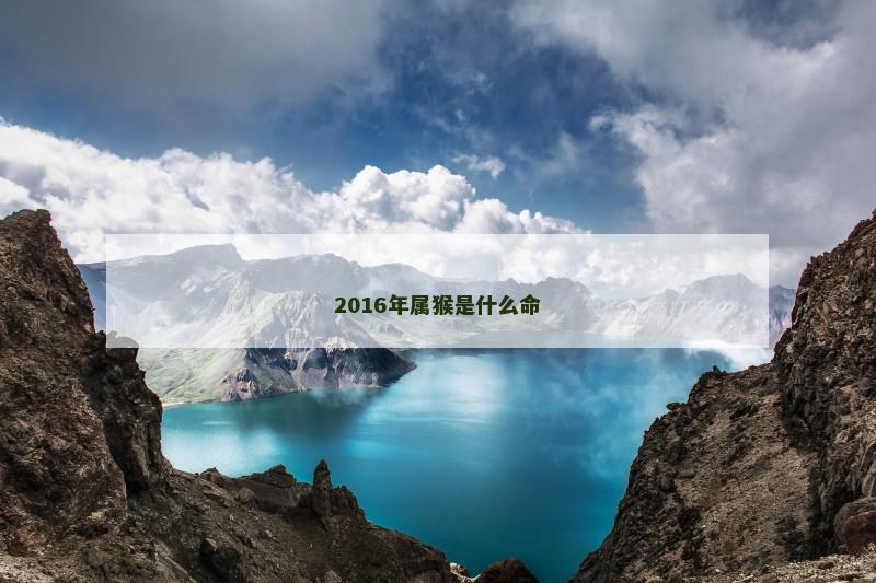 2016年属猴是什么命