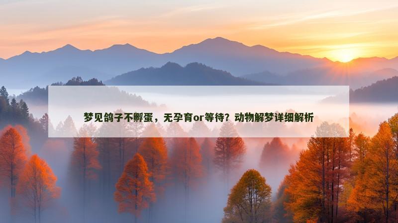 梦见鸽子不孵蛋，无孕育or等待？动物解梦详细解析