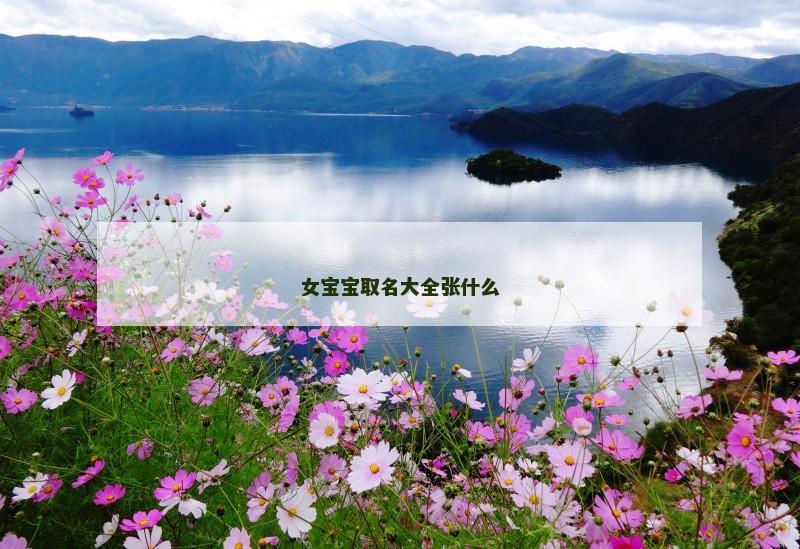 女宝宝取名大全张什么