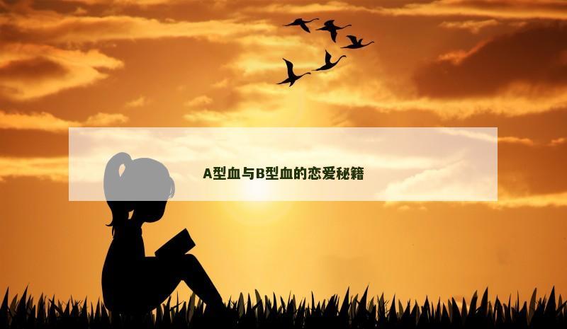 A型血与B型血的恋爱秘籍