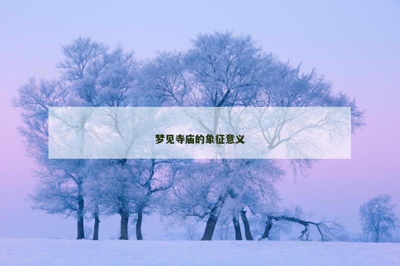 梦见寺庙的象征意义