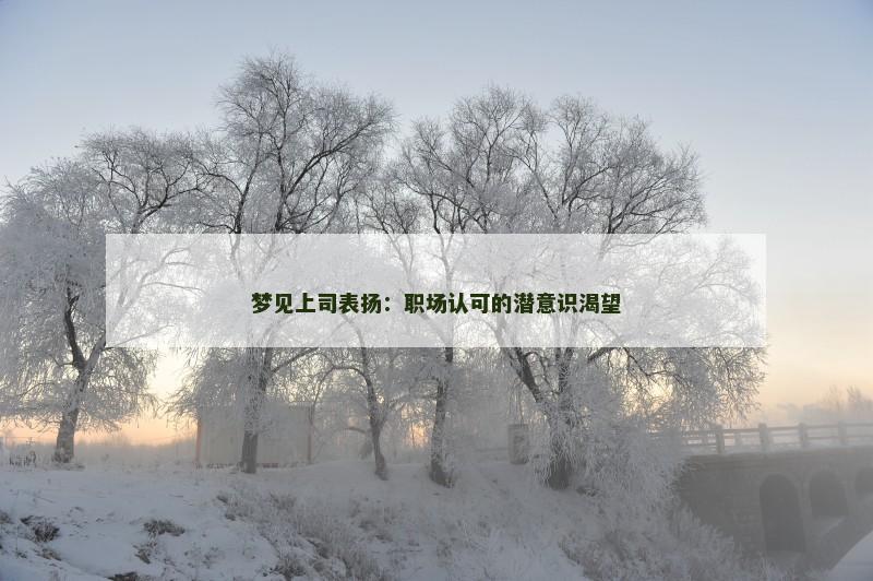 梦见上司表扬：职场认可的潜意识渴望