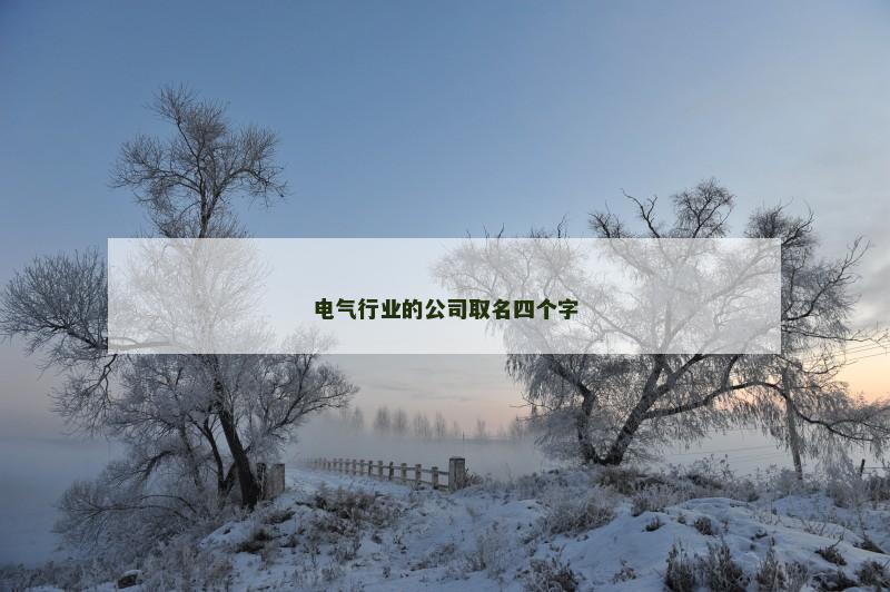 电气行业的公司取名四个字