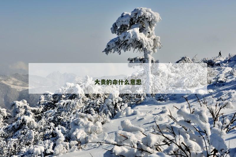 大贵的命什么意思