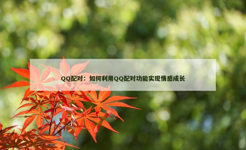 QQ配对：如何利用QQ配对功能实现情感成长