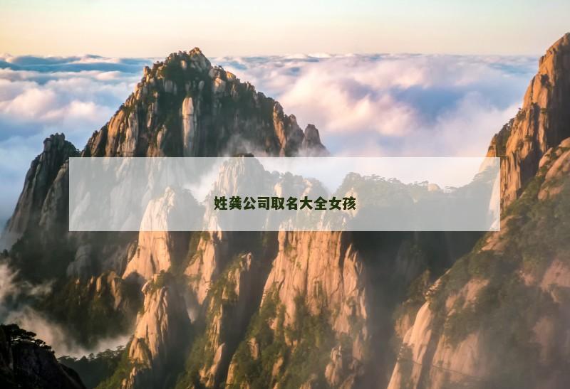 姓龚公司取名大全女孩