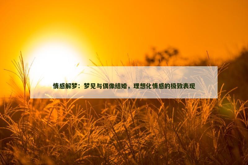 情感解梦：梦见与偶像结婚，理想化情感的极致表现