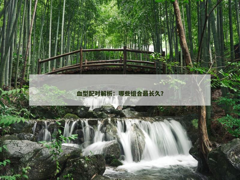 血型配对解析：哪些组合最长久？
