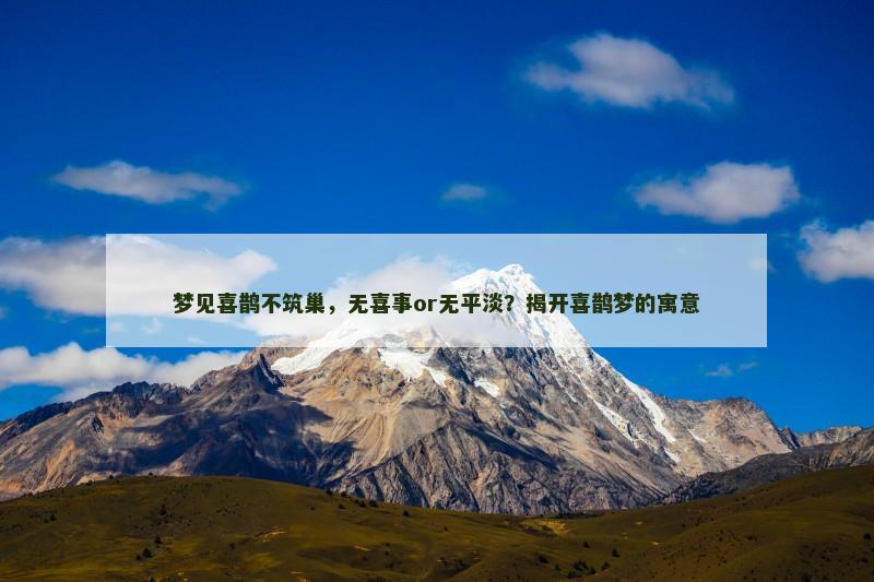 梦见喜鹊不筑巢，无喜事or无平淡？揭开喜鹊梦的寓意