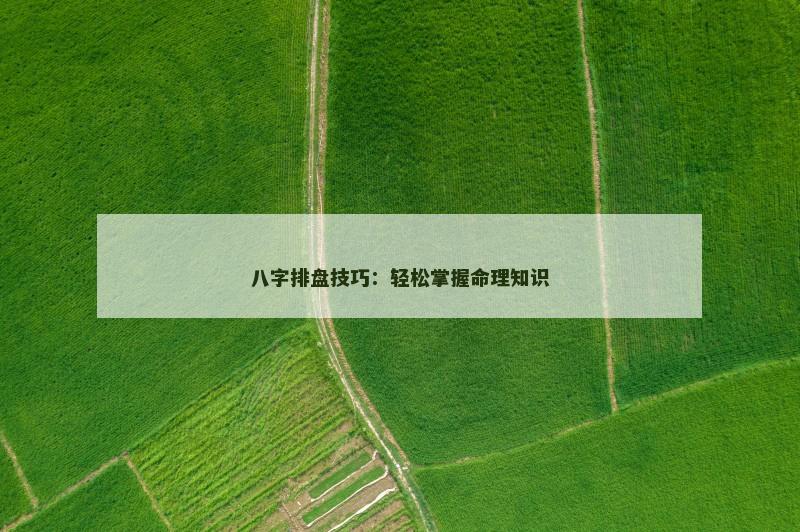 八字排盘技巧：轻松掌握命理知识