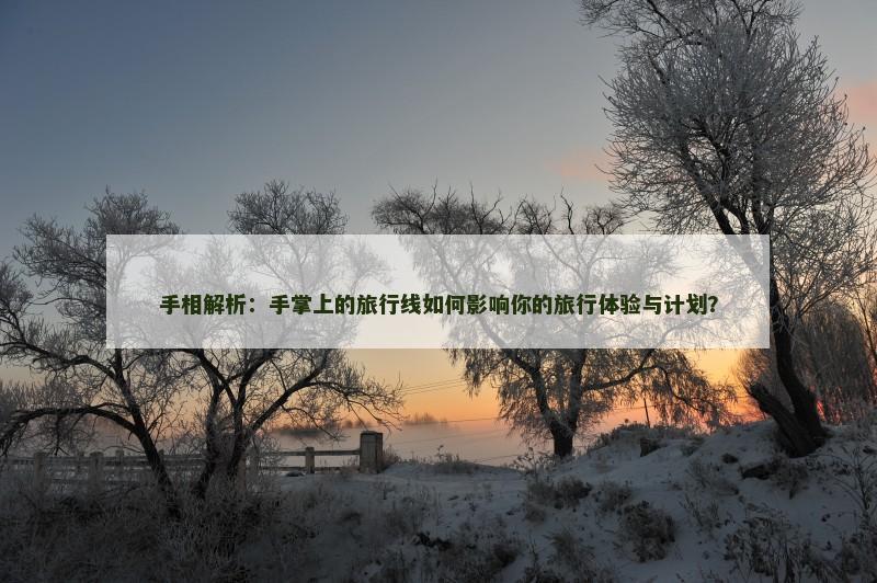 手相解析：手掌上的旅行线如何影响你的旅行体验与计划？