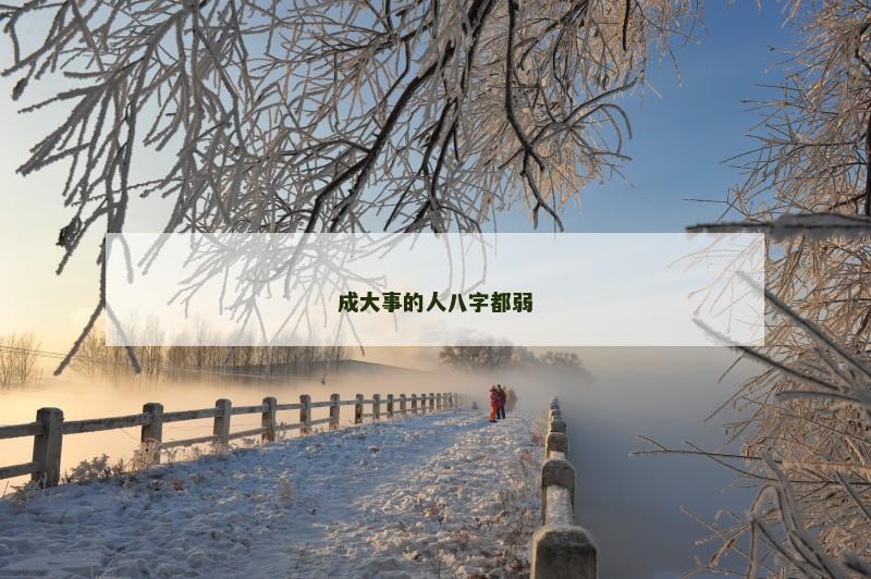 成大事的人八字都弱