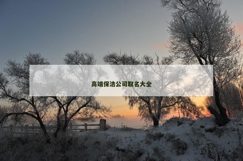 高端保洁公司取名大全