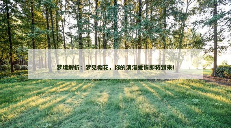 梦境解析：梦见樱花，你的浪漫爱情即将到来！