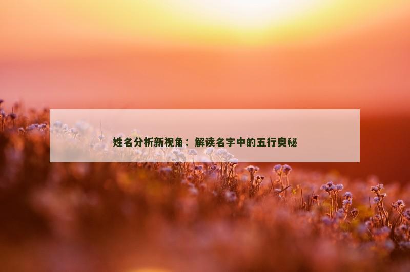 姓名分析新视角：解读名字中的五行奥秘