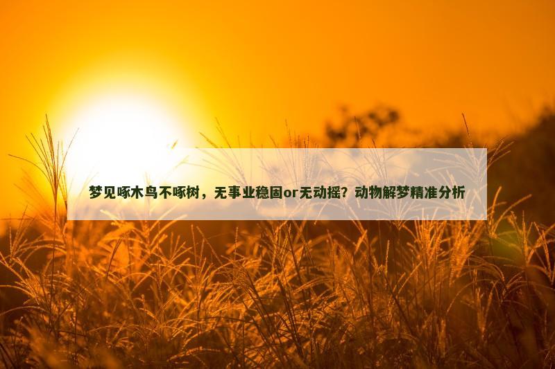 梦见啄木鸟不啄树，无事业稳固or无动摇？动物解梦精准分析
