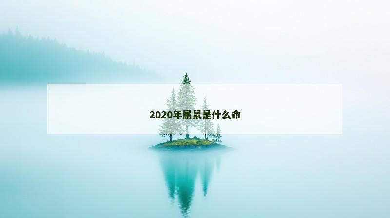 2020年属鼠是什么命