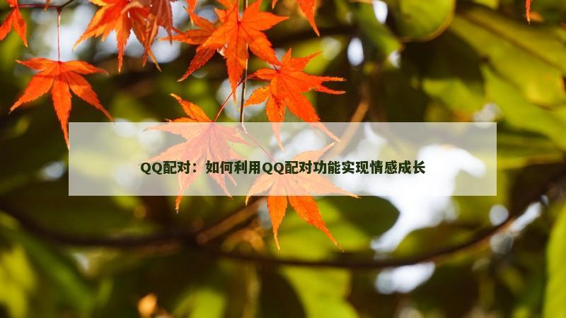 QQ配对：如何利用QQ配对功能实现情感成长