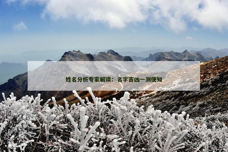 姓名分析专家解读：名字吉凶一测便知