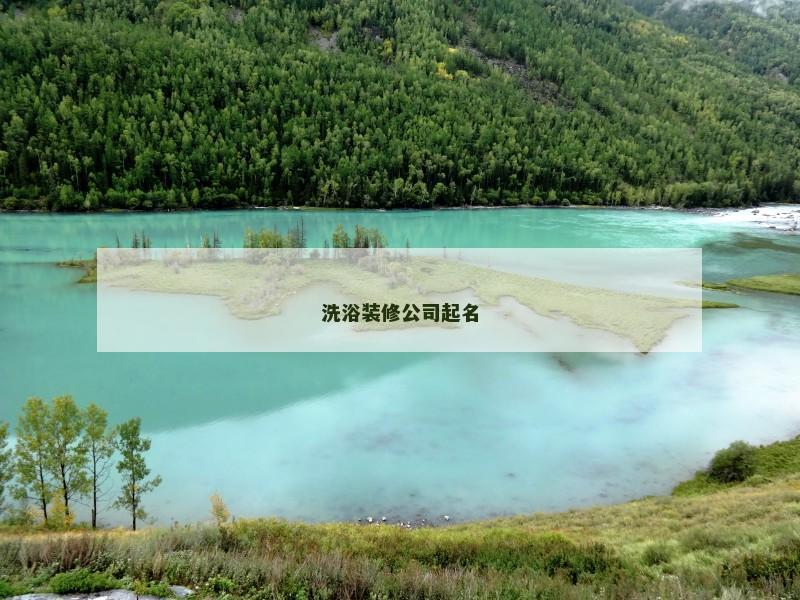 洗浴装修公司起名