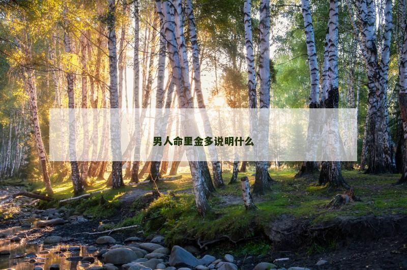 男人命里金多说明什么