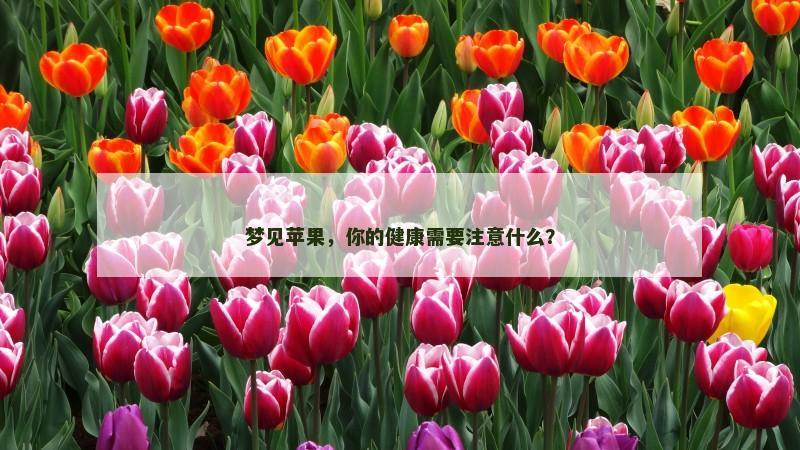 梦见苹果，你的健康需要注意什么？