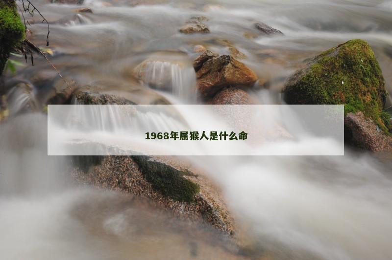 1968年属猴人是什么命