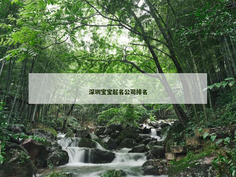 深圳宝宝起名公司排名