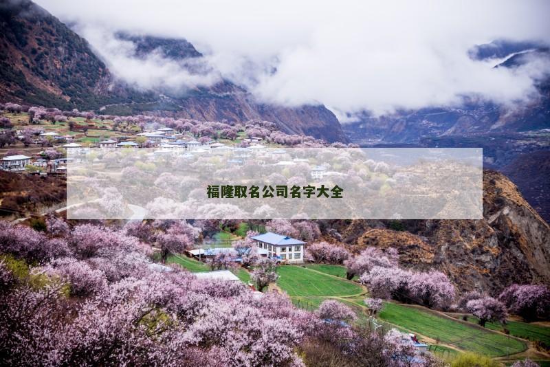 福隆取名公司名字大全