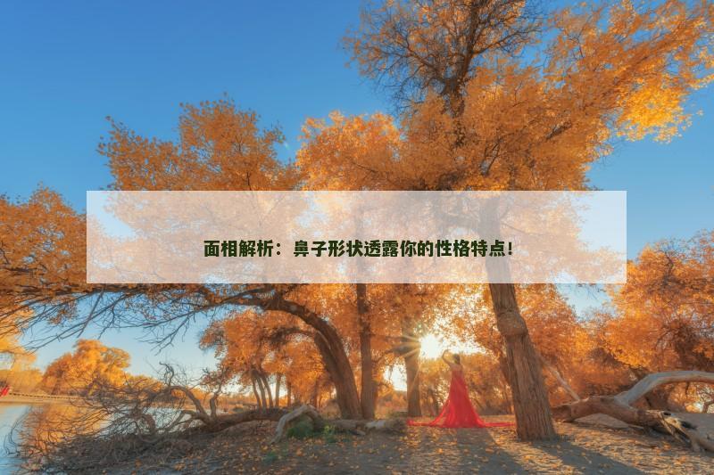 面相解析：鼻子形状透露你的性格特点！
