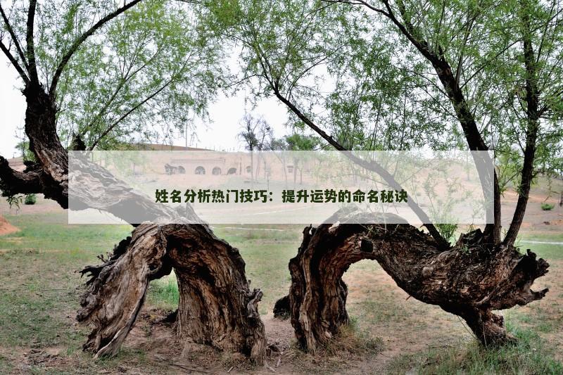 姓名分析热门技巧：提升运势的命名秘诀