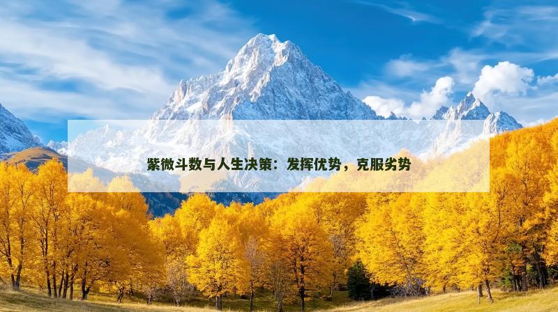紫微斗数与人生决策：发挥优势，克服劣势