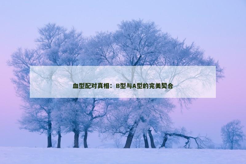 血型配对真相：B型与A型的完美契合