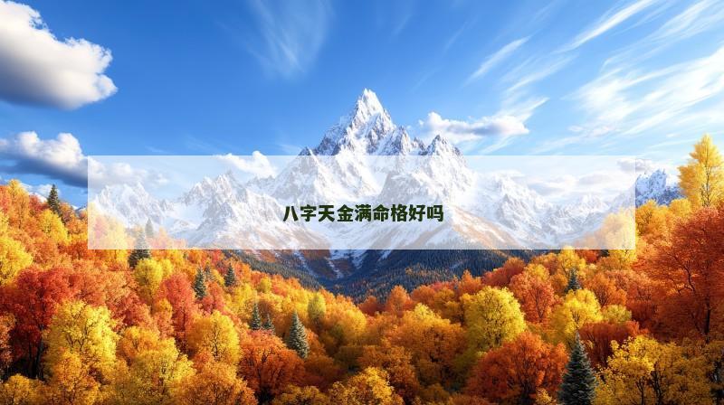 八字天金满命格好吗