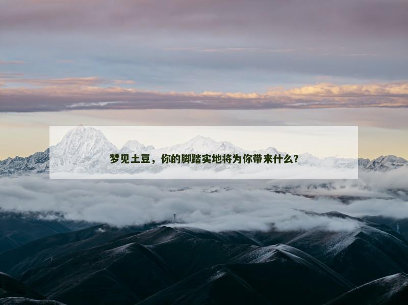 梦见土豆，你的脚踏实地将为你带来什么？