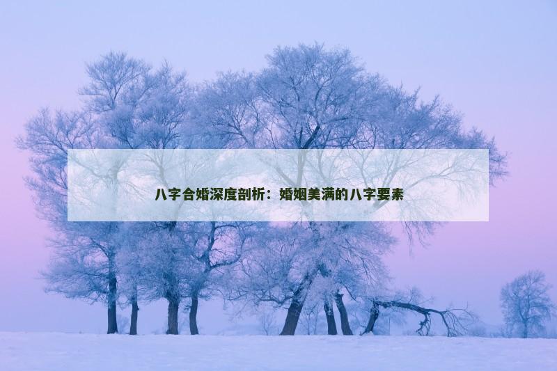 八字合婚深度剖析：婚姻美满的八字要素