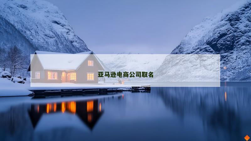 亚马逊电商公司取名