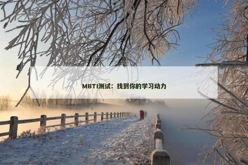MBTI测试：找到你的学习动力