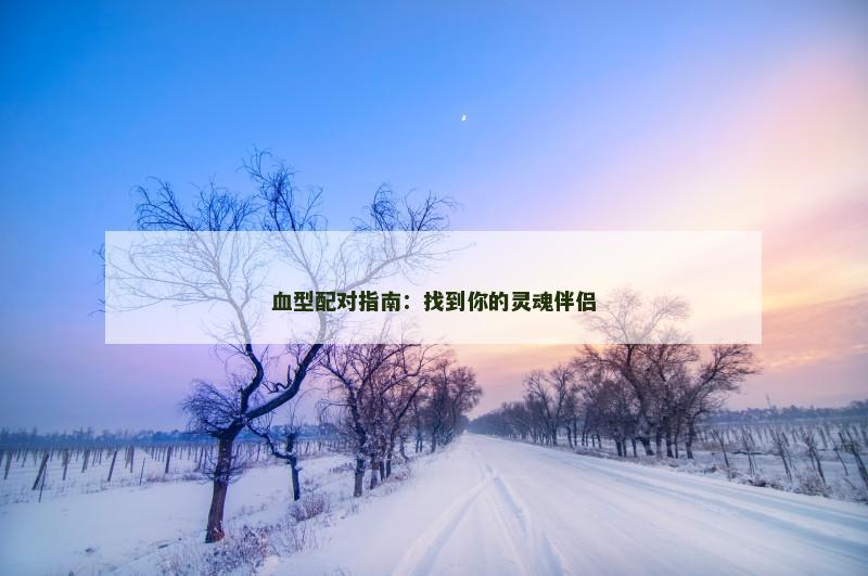 血型配对指南：找到你的灵魂伴侣