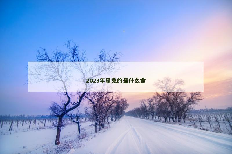 2023年属兔的是什么命