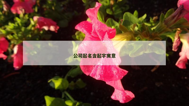 公司起名含起字寓意