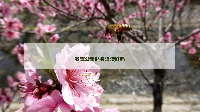 餐饮公司起名浪漫好吗