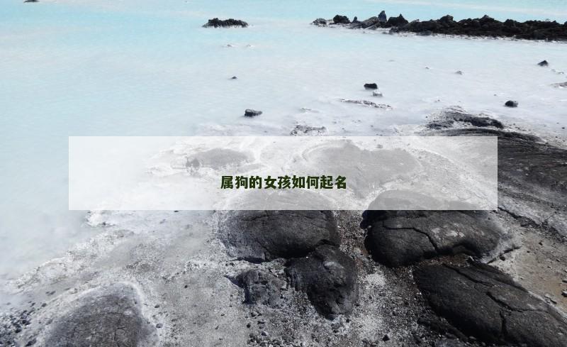 属狗的女孩如何起名