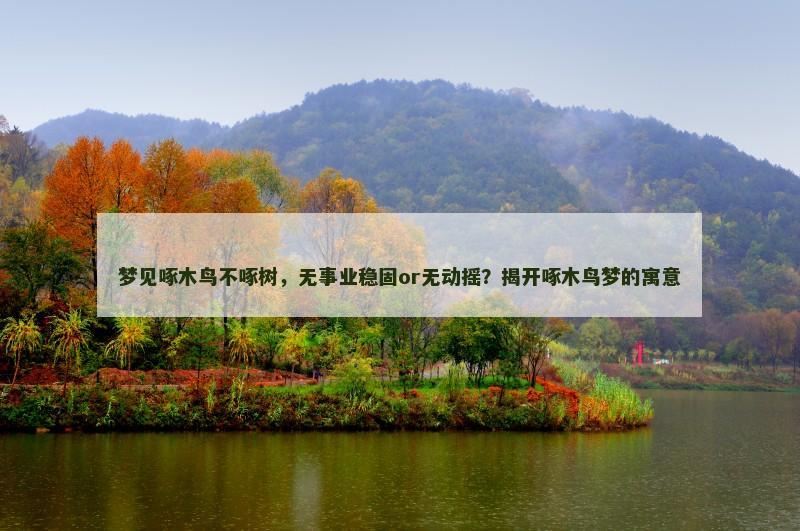 梦见啄木鸟不啄树，无事业稳固or无动摇？揭开啄木鸟梦的寓意