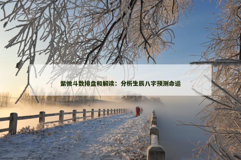 紫微斗数排盘和解读：分析生辰八字预测命运