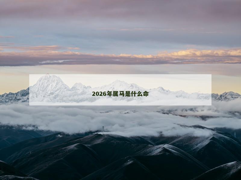 2026年属马是什么命