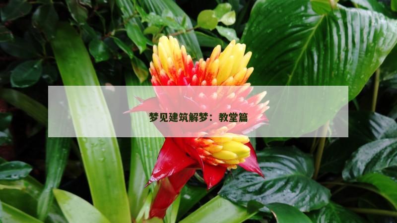梦见建筑解梦：教堂篇