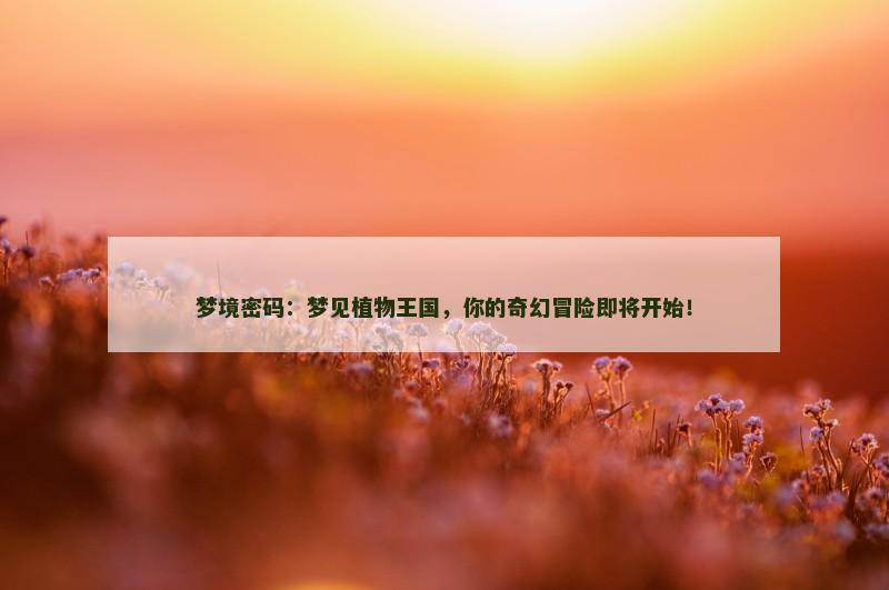 梦境密码：梦见植物王国，你的奇幻冒险即将开始！